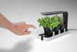 Urban Kitchen Herb Growers