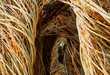 Colossal Stick Sculptures
