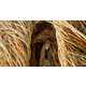 The 'Inspired By...Patrick Douglas' Video Sculpts Beauty From Branches 1