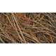 The 'Inspired By...Patrick Douglas' Video Sculpts Beauty From Branches 2