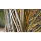 The 'Inspired By...Patrick Douglas' Video Sculpts Beauty From Branches 5