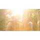 The 'Inspired By...Patrick Douglas' Video Sculpts Beauty From Branches 7