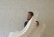 Paper Folding Artist Biographies