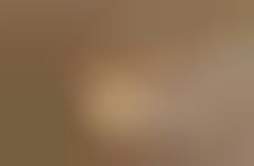 Contrite Canine Photography