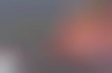 Distorted Face Blogs