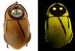Evolutionary Accomplishment