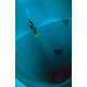 Subterranean Swimming Pools - Nemo 33 is the Deepest Diving Pool in the World (GALLERY) 1