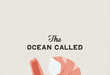 Seinfeld-Inspired Posters