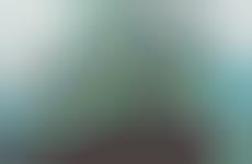 Breath-Freshening Mint Brownies