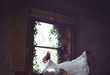 Floating Slumber Pictorials