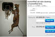 Marketable Animal Mummies