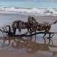 Heather Jansch's Beautiful Eco-Art 1