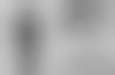 Sleek Sneak Peak Lines