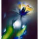 Stunning Images of Nature Electrified - Nature is Illuminated (GALLERY) 3