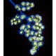 Stunning Images of Nature Electrified - Nature is Illuminated (GALLERY) 4