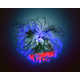 Stunning Images of Nature Electrified - Nature is Illuminated (GALLERY) 5