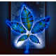 Stunning Images of Nature Electrified - Nature is Illuminated (GALLERY) 6