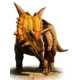 Ottawa Scientists Uncover New Dinosaur Species ‘Xenoceratops Foremosten 1