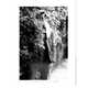 Modern Misfit Editorials - The Cue The Shins, Sound The Trumpets Flaunt Magazine Editorial is Urban (VIDEO) 5