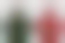 Wool Holiday Champagne Sleeves