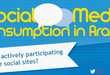 Middle East Social Media Infographics