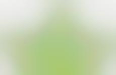 Cut-Out Foliage Fonts