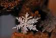 Microscopic Snowflake Pictures