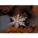 Microscopic Snowflake Pictures - Andrew Osokin Captures Nature's Fine Details (GALLERY) 1