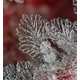 Microscopic Snowflake Pictures - Andrew Osokin Captures Nature's Fine Details (GALLERY) 2