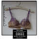 lingerie label sentences your bad bras to bra jail for bra crimes 2