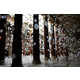 The Scattered Crowd Installation Uses 1,000 Floating Balloons 2