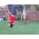 This Parkour Compilation Features Jumps, Flips and Wall Scaling 8