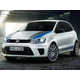 Rally Ready Hot Hatches (UPDATE) - The Volkswagen Polo R WRC is Born to Run (GALLERY) 1