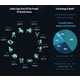 This Infographic Tells You What To Expect Next year 3