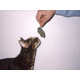 Feline Foodie Photography - The Rick Indeo 'One Girl' Vice Shoot is Irreverent and Offbeat (GALLERY) 4