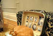 Antique’s for your Feline