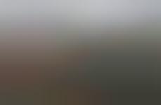 Haunting Nature Photography