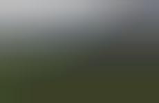 Interpretive Climate Change Photography