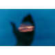 Julianne Swartz Holds Nature in the Palm of her Hands 10