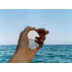 Julianne Swartz Holds Nature in the Palm of her Hands 3
