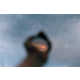 Julianne Swartz Holds Nature in the Palm of her Hands 5