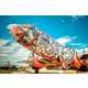 The Boneyard Project Features Artists Muraling Abandoned Airplanes 1