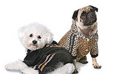 45 Playful Pet Ensembles
