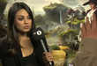 Nervous Nellie Celeb Interviews