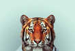 Animals Modeling Human Clothes