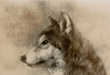 Large Scale Analog Photographs of Animals
