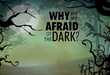 Why Are We Afraid of the Dark?