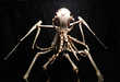 Terrifying Bone Scultpures