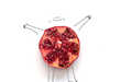 Fruit-Infused Illustrations