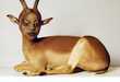 Terrifying Taxidermy Art